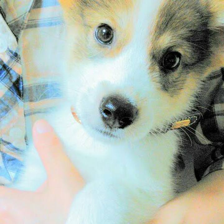 C4775b1a 8221 4be1 b000 2b650433e61e