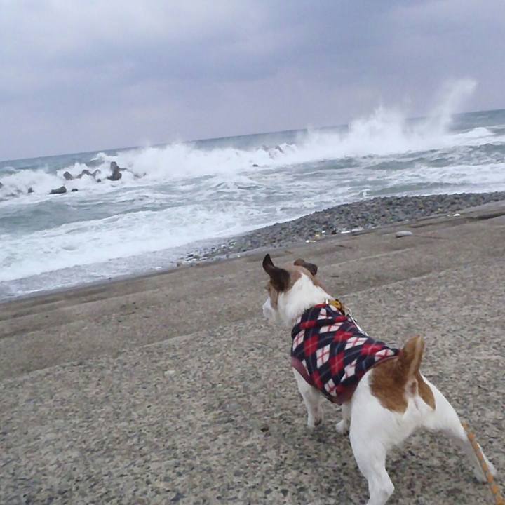 C477b042 34c9 4699 860b dc1b4171a3ce