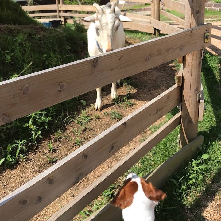 C4786f87 e2e3 4908 adb1 2ee01b892628