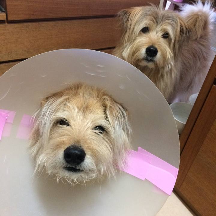 C478a0eb 2e89 4fc1 a6c3 bcb037bb5811