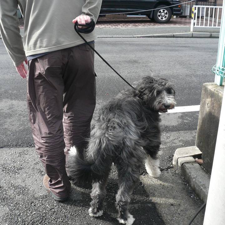 C478bc55 1292 4dea 9402 2ad0c0873145