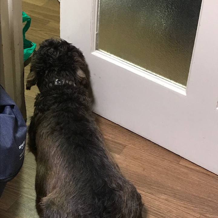 C478e202 45c7 4c7a a901 fcbbb7ce574b