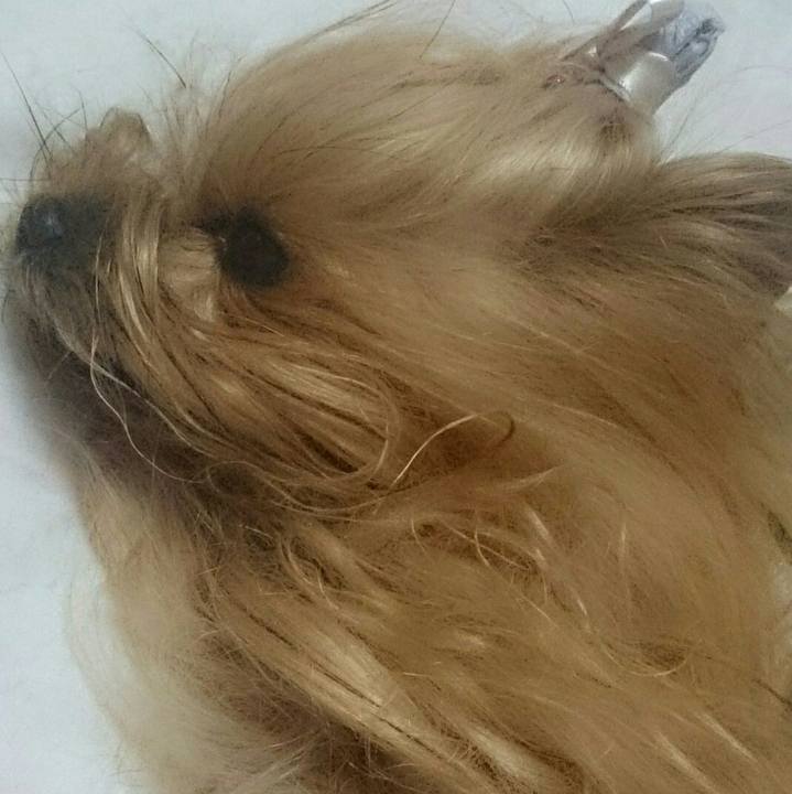 C479b0bd 12aa 47da af8c 0e82704650d9