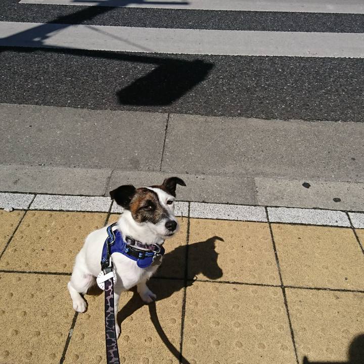 C479d6cf 78ce 4929 9a8a 75de09d02463