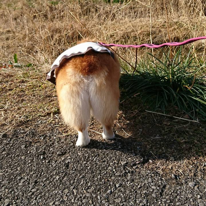 C47a3c78 45c0 42f6 9e7a 832a1278380a