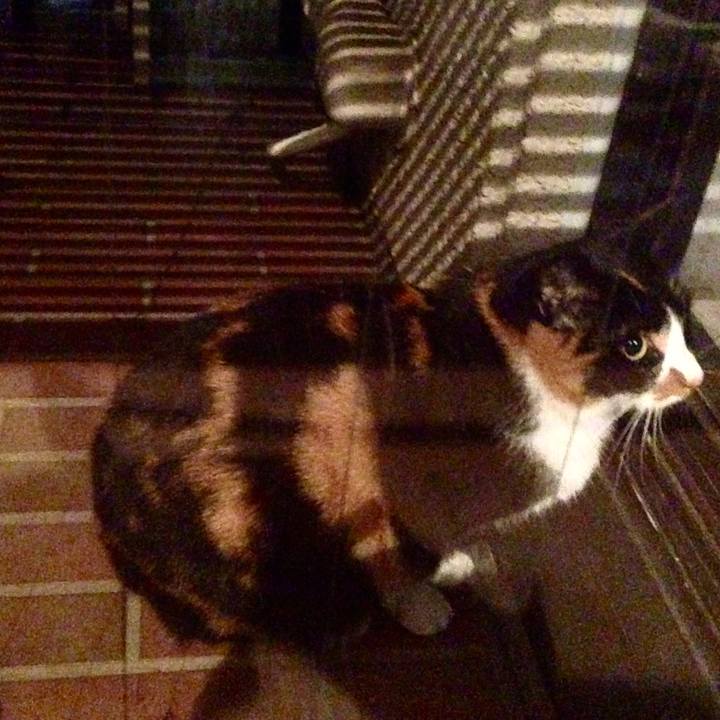 C47a3c7d 4fa4 4fa2 a8ac 3c1a97c3a1c5