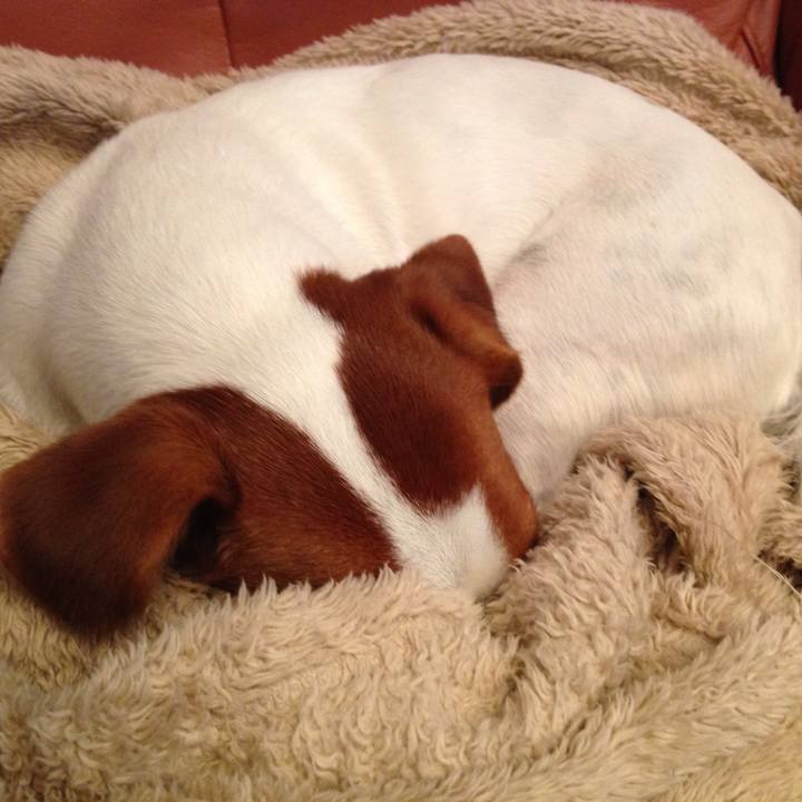 C47a4cba a04b 4347 a6be 419c16376ade