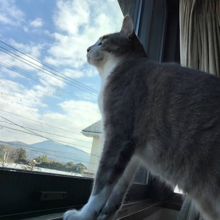 C47a630e 256f 446e a8d7 84e81acb35e4