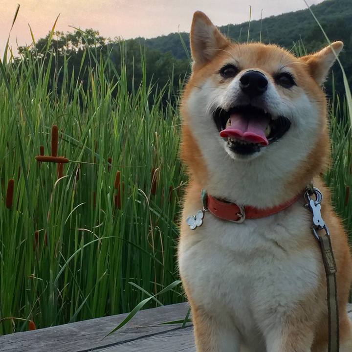 C47b0c25 0bd4 4aaf 9c05 4670ee5264db