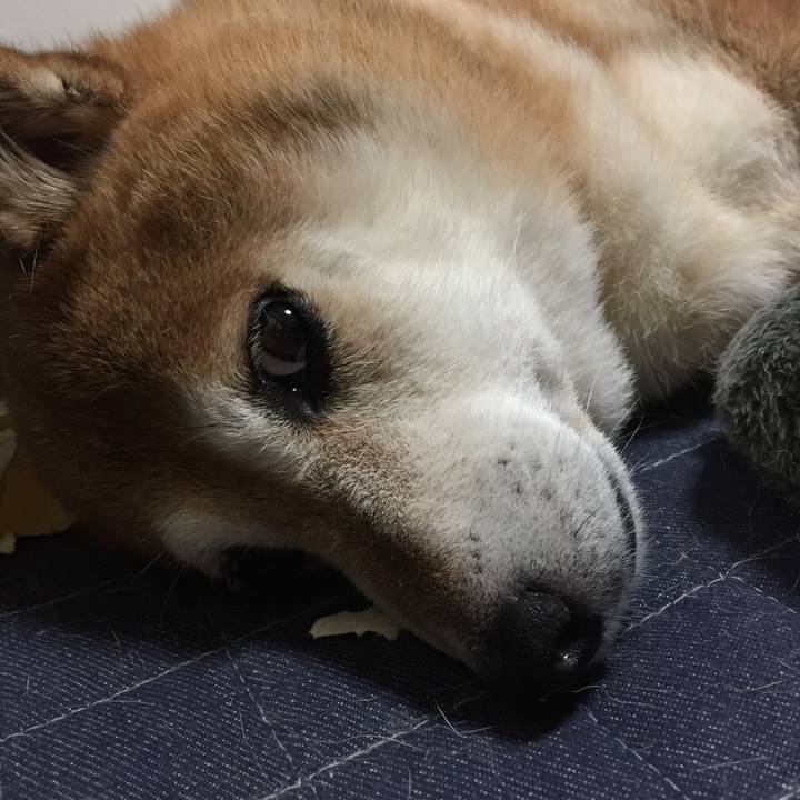 C47b7d55 0da4 428d 8724 f27eeb6d9a51