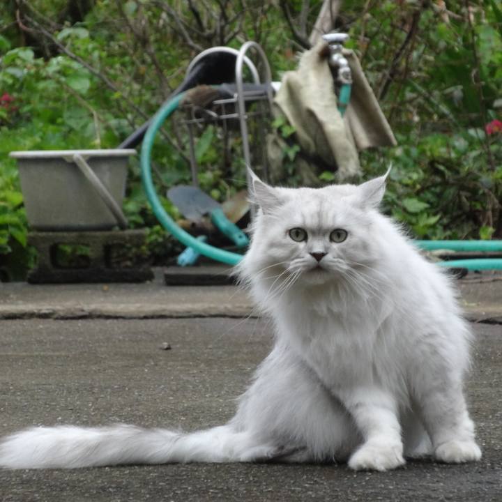 C47be337 2a13 4763 a2ec 3d416f820ef0