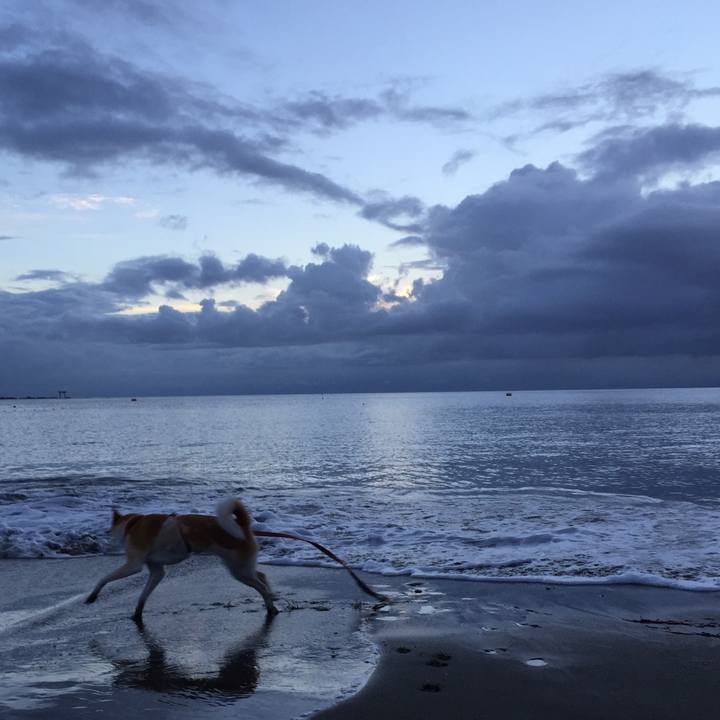 C47c2eb6 df10 4be4 826b 9341e4d16262