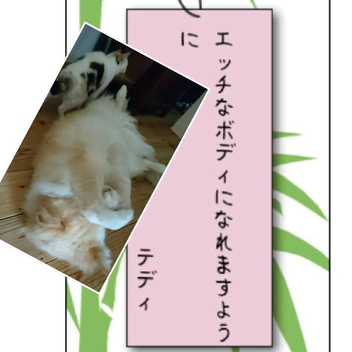 C47c4532 51e1 4b6f 88b9 5dd992a6ff8c