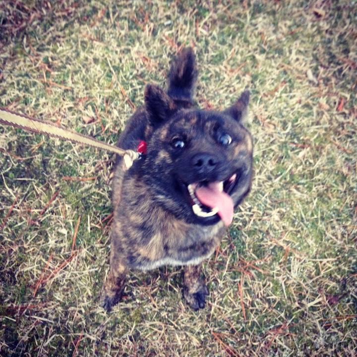 C47c6597 c5bb 4d96 b96d a5355fd4e093