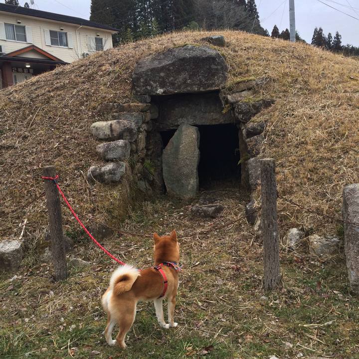 C47d0ac8 ac63 4333 8da3 d98069b4e219