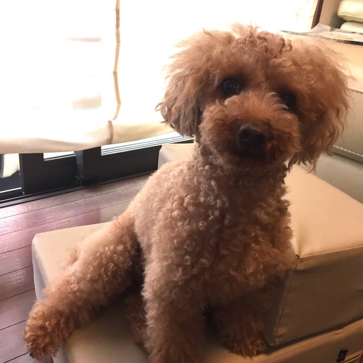 C47d5c49 795e 4aa8 a004 cd37315edfdf