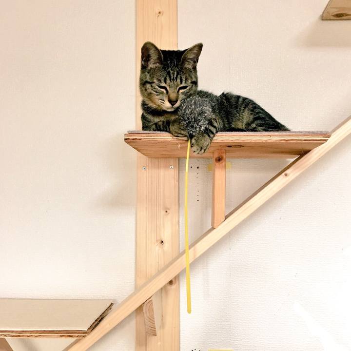 C47e5112 0b7e 4e8e 96ff a8c88181b20d