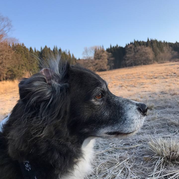 C47f1302 efa7 4b0c 94c9 a072f4d9dbd7