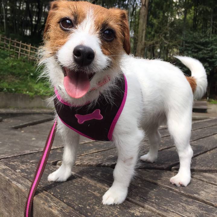 C47f677f bd0c 4569 8fe0 a9b83e1e36b7