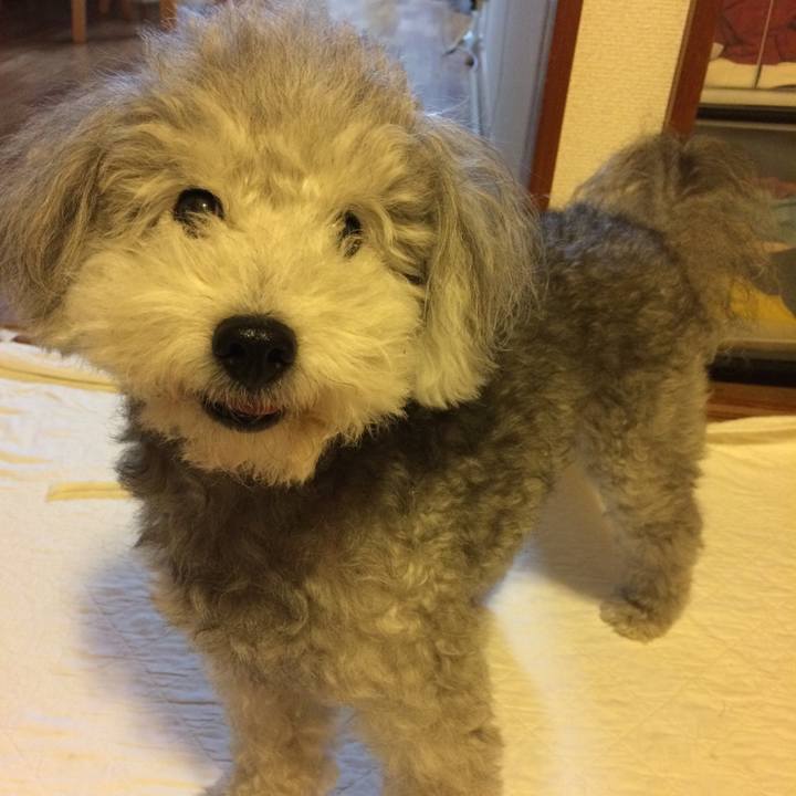 C47fccf9 52e1 4768 be6b ddfb3aa951b6