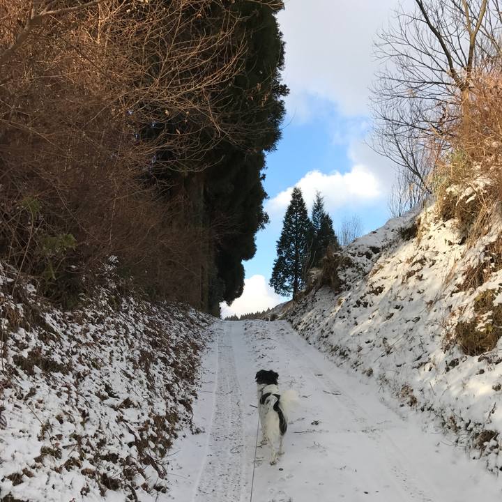 C4807e35 8ddc 4e6a 994a 4b9b3bfa6a3a