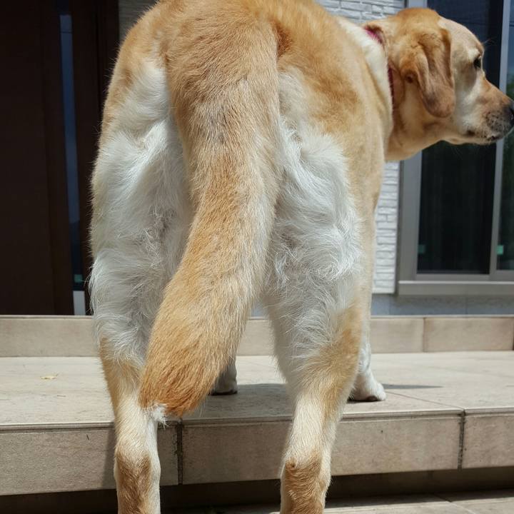 C480f089 08e4 486e b13b c2238291874f