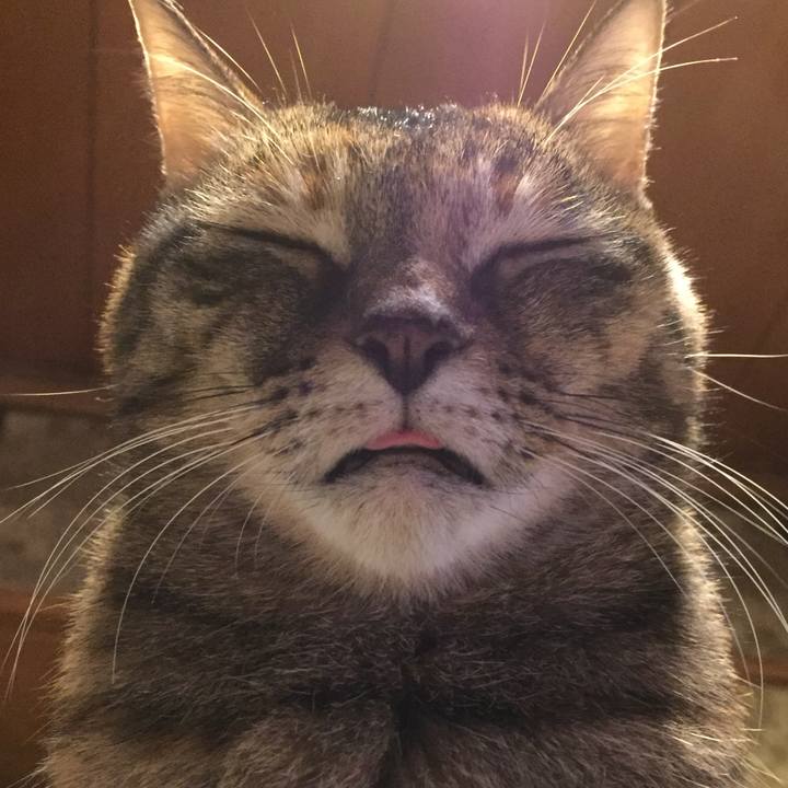 C4816858 157b 4d66 983c 76c1044ab3b0