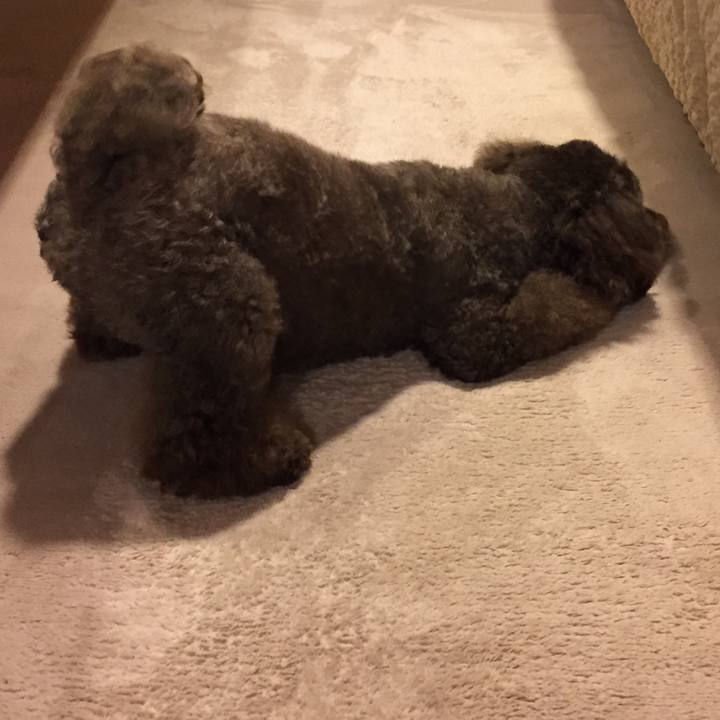 C48232fd 5c2d 4019 bb5e 3afac90ddba3