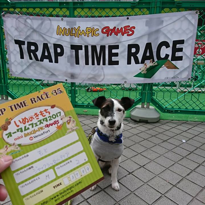 C4823457 cd5e 4138 a290 daaf761d8c8c