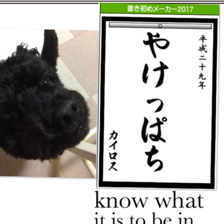 C482649a dc3f 4208 9d22 ecb1818c2038