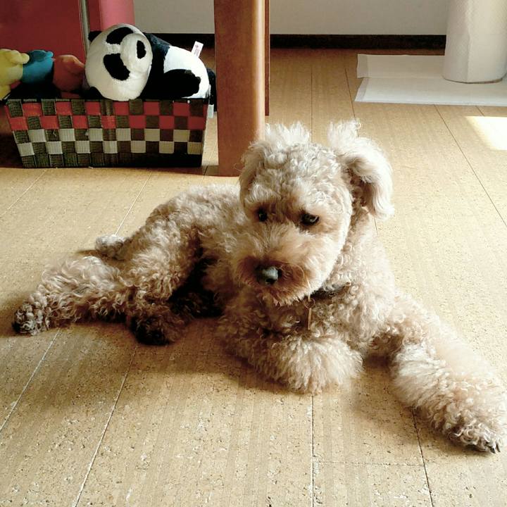 C482b216 a6df 4570 93f0 7663d4822d7b