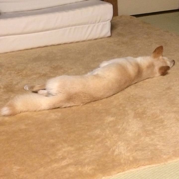 C482fc29 bfdb 40ac b03c c4f489cd289e