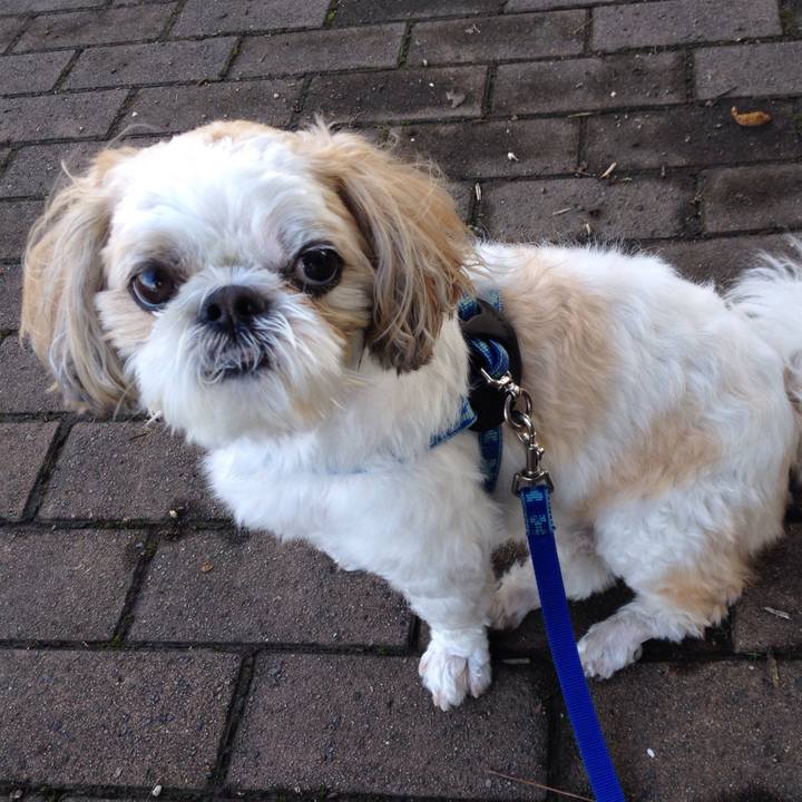 C48364d5 6c06 4a6a 9b8b 89fbba1c1807