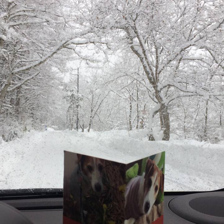 C484210b f4da 459c b3d0 923151ac8459