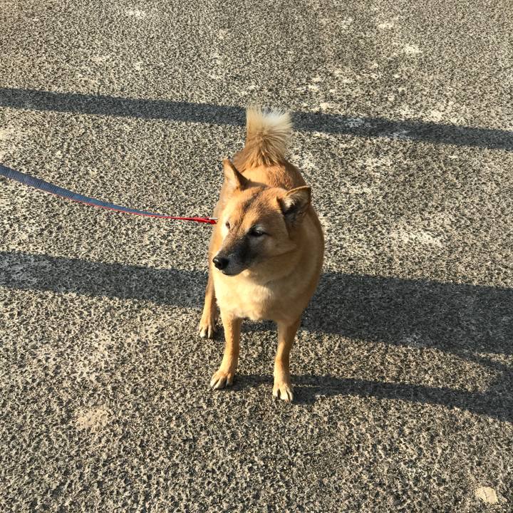 C484fb67 63fa 4290 83b9 1177ed9a8f3a