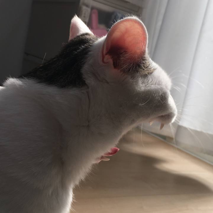 C4851562 057d 46eb a9d0 57b1895b7877