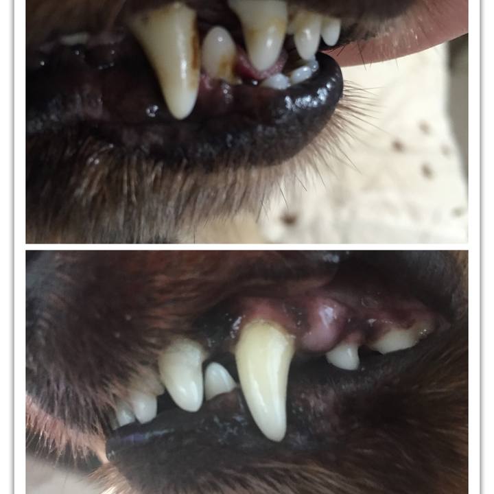 C485b3d2 c3ef 412e b98f 672fe0cc34e3