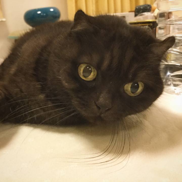 C485f8d1 49f6 42dc b555 c12733732d36