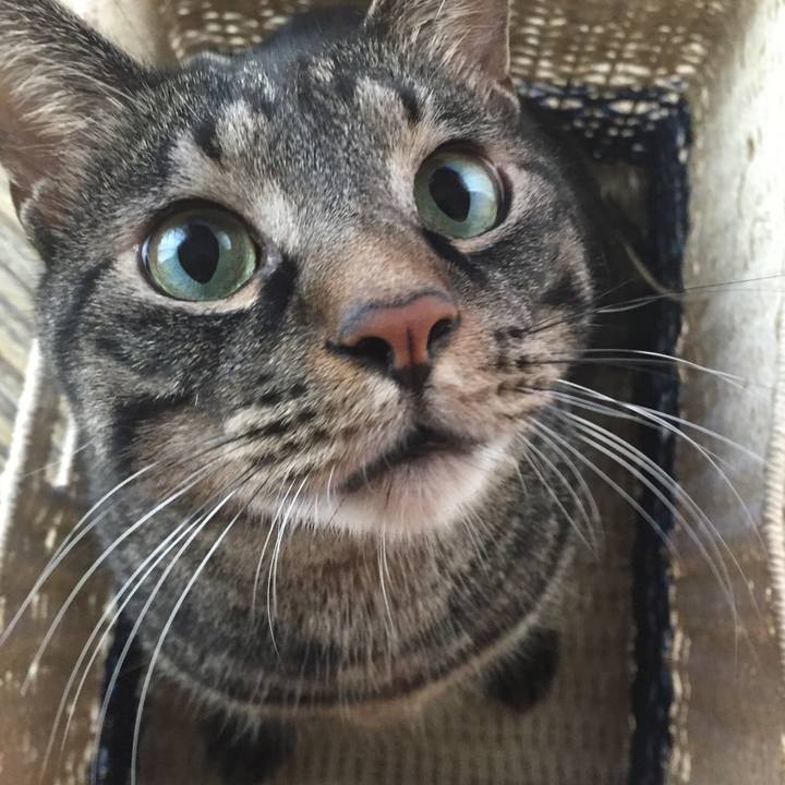 C4865811 65f9 4476 93a6 8ef5bcf5ad13