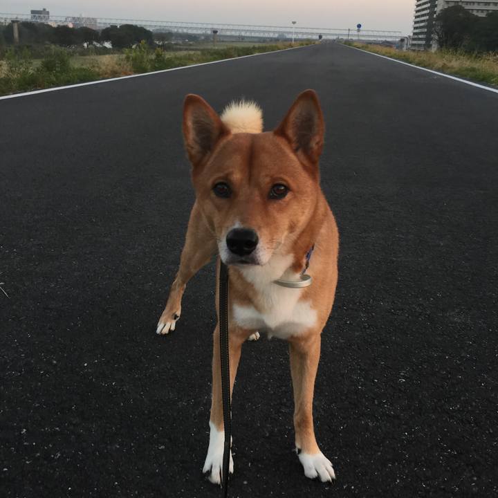 C486e1d5 bf80 41ce 8763 4a80ad482699