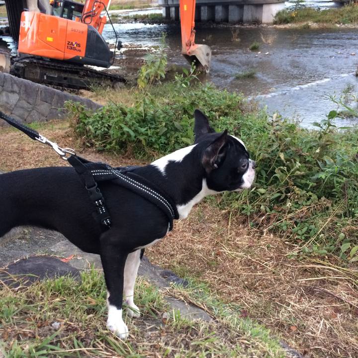 C4874362 422b 43fb a558 25ca11b2ed98