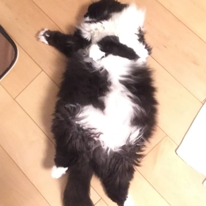 C487504c 5960 4799 bfc5 4b9df03a9c06