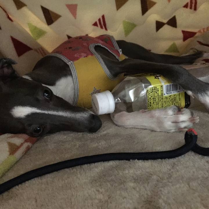 C487afed 67a3 45ec a3c2 60a885c93a7e