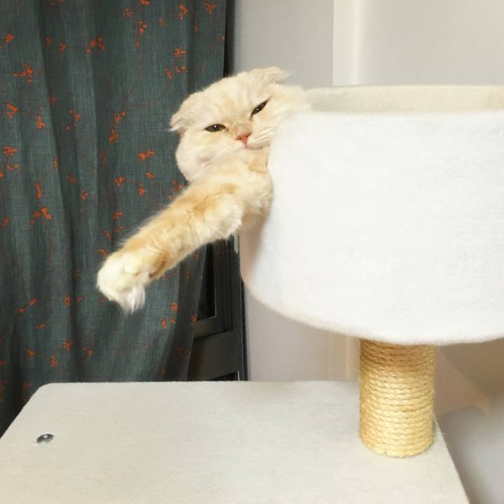 C487b893 509b 456a b673 77a8b0fd0385