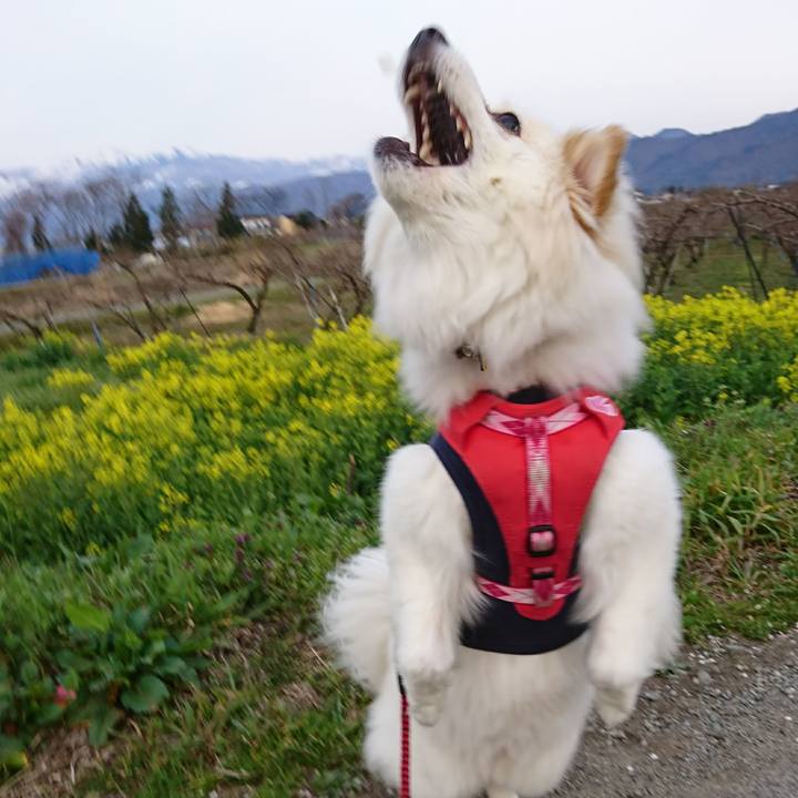 C487d2d4 86ec 4436 98de b2e0ec670095