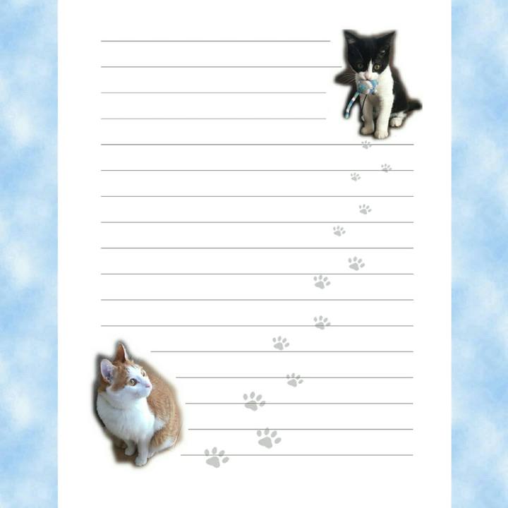 C4889b93 420a 45dc 9770 8ea204e6df5d