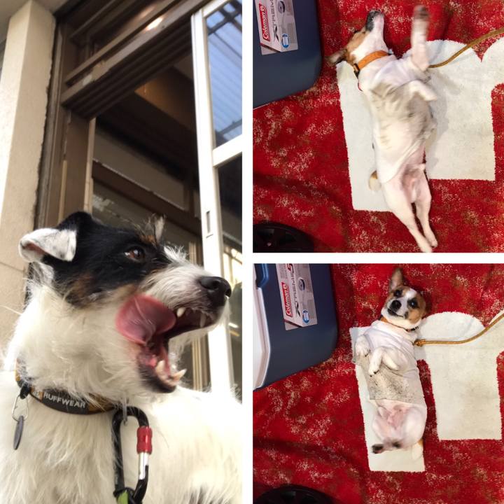 C48a3c72 27c9 43db 9af0 55ae72e8c19c