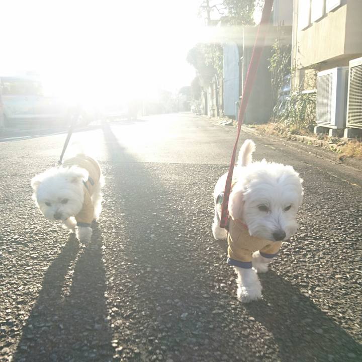 C48aa837 f963 48b8 8860 a2f7e7e708cd