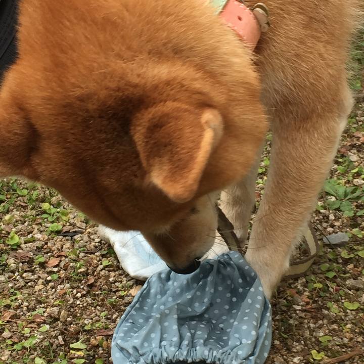 C48ab10b 97ec 497c a7af 85fb69d2271c