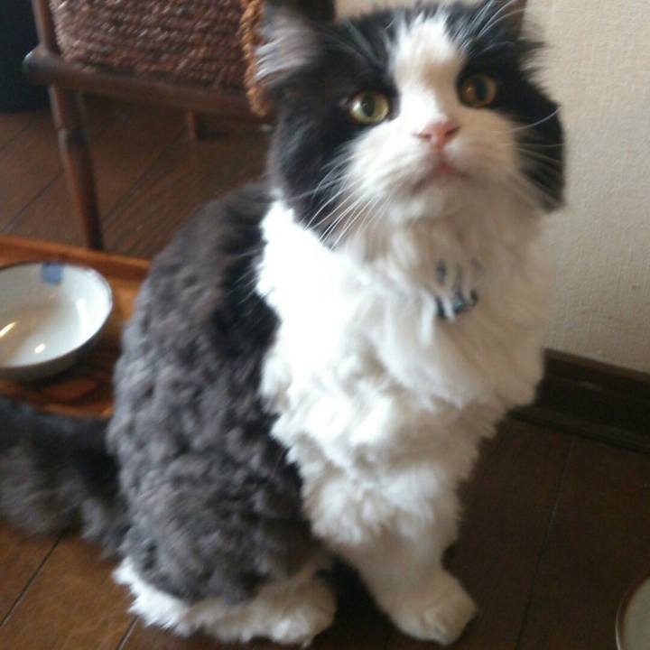 C48b8634 80d5 43c9 ae66 fe8ca2b466b8